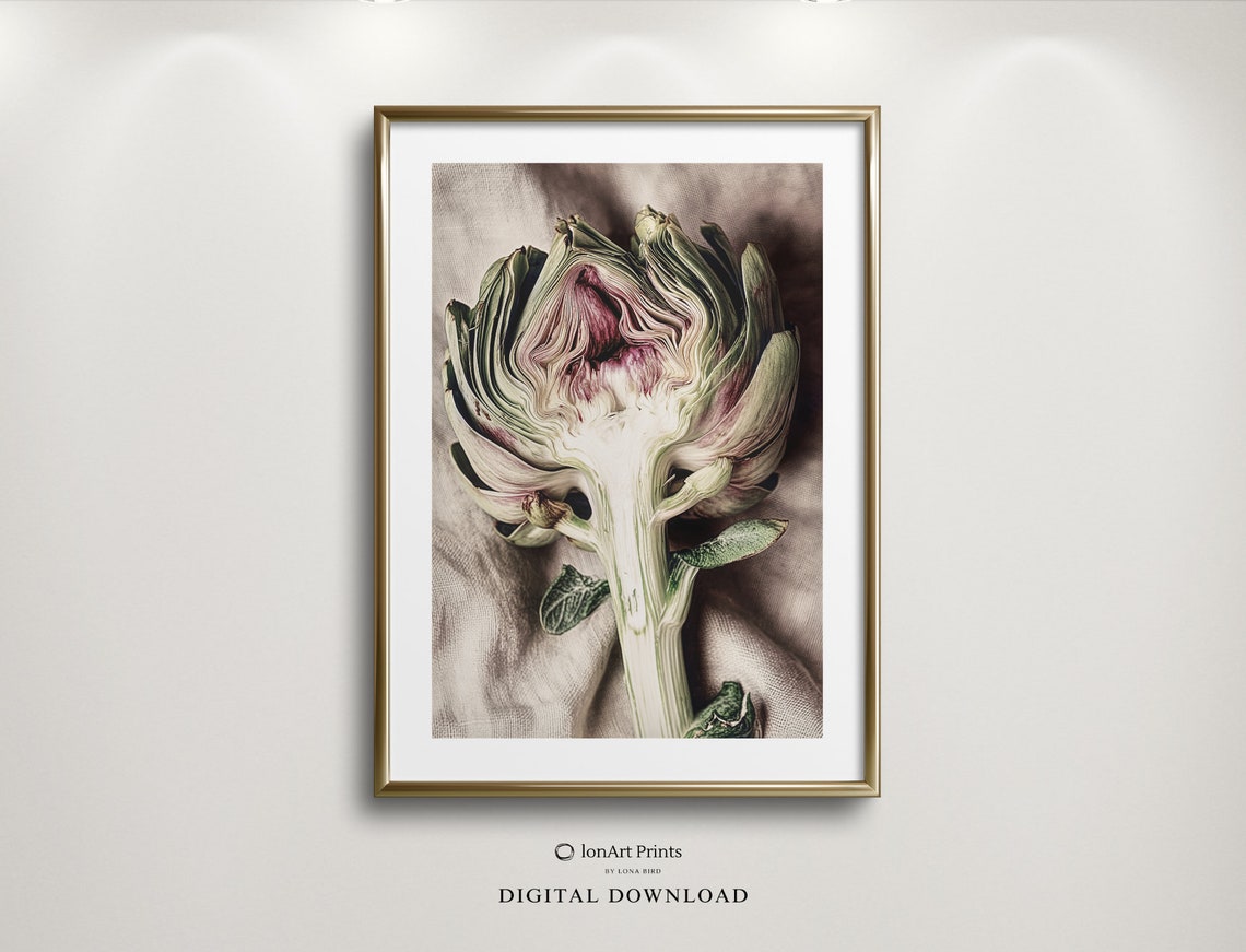 Artichoke Close Up Vintage Botanical Kitchen Photography Style Poster