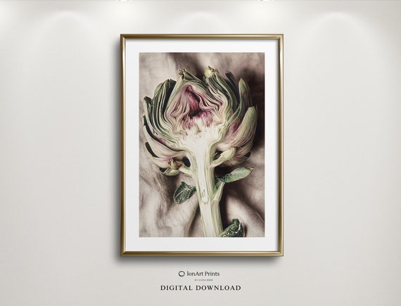 Rustic Artichoke Kitchen Art Dining Decor Highres Photography Farmhouse Style Vegetable Wall Instant