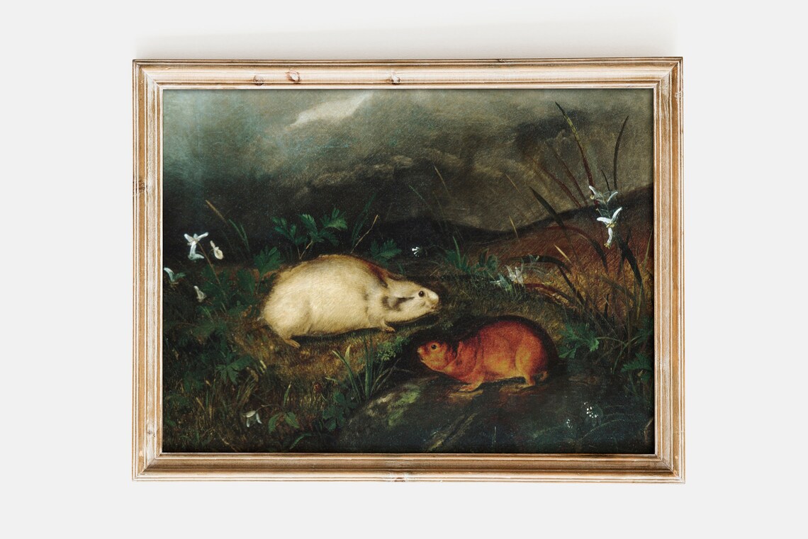 John Woodhouse Audubon Hudsons Bay Lemming Poster Print