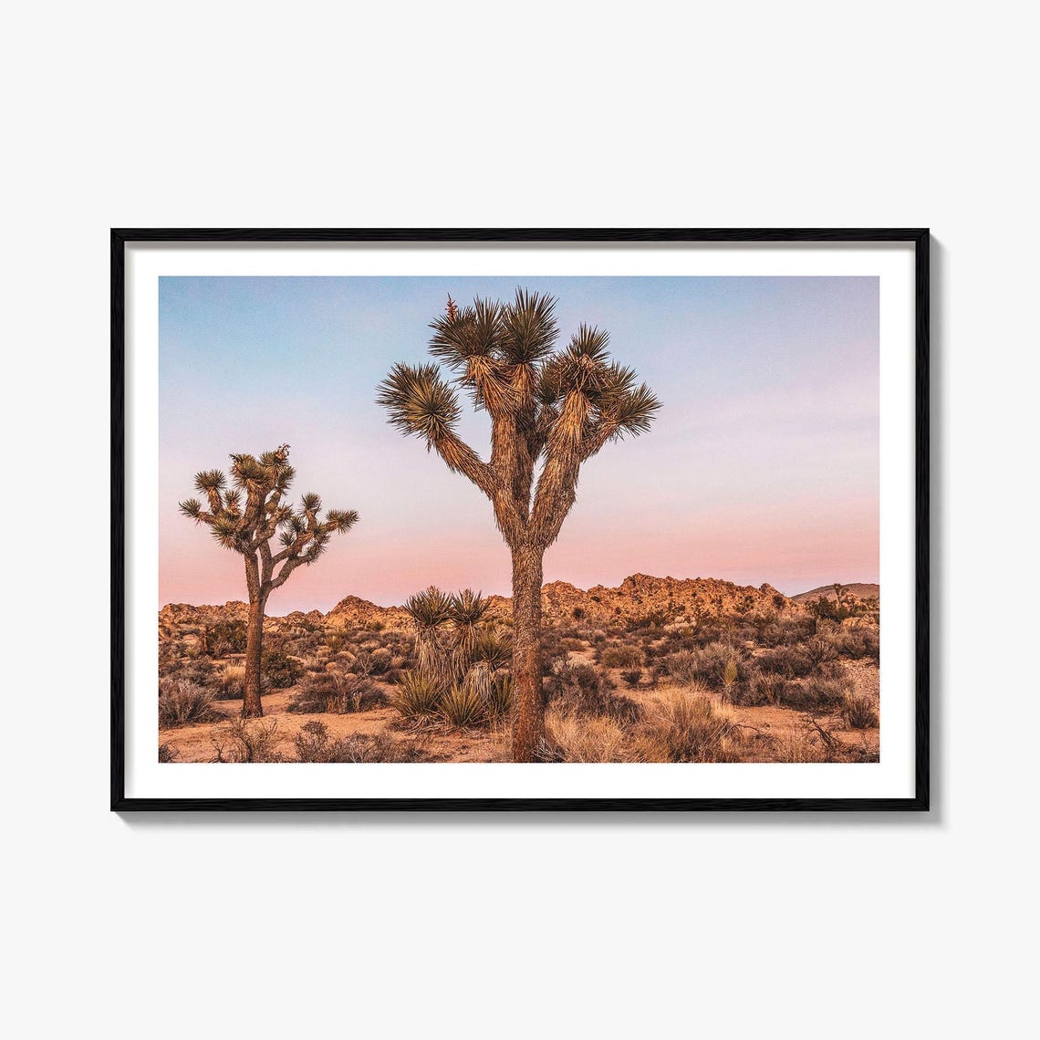 Joshua Tree National Park Sunset Desert Trees Color Photo Poster