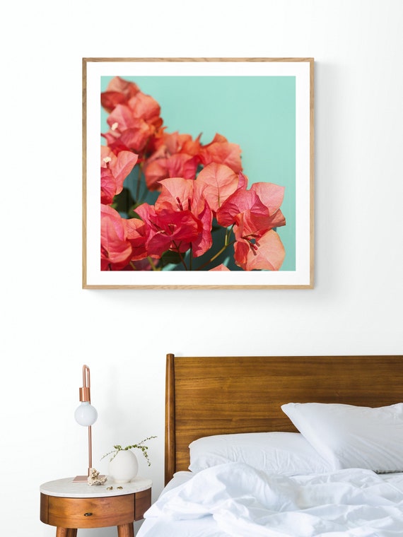 Bougainvillea Flower Photograph, Tropical Botanical Art