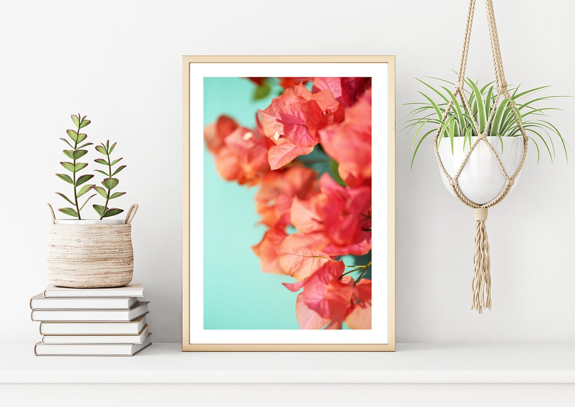 Bougainvillea Flower Photograph, Tropical Botanical Print