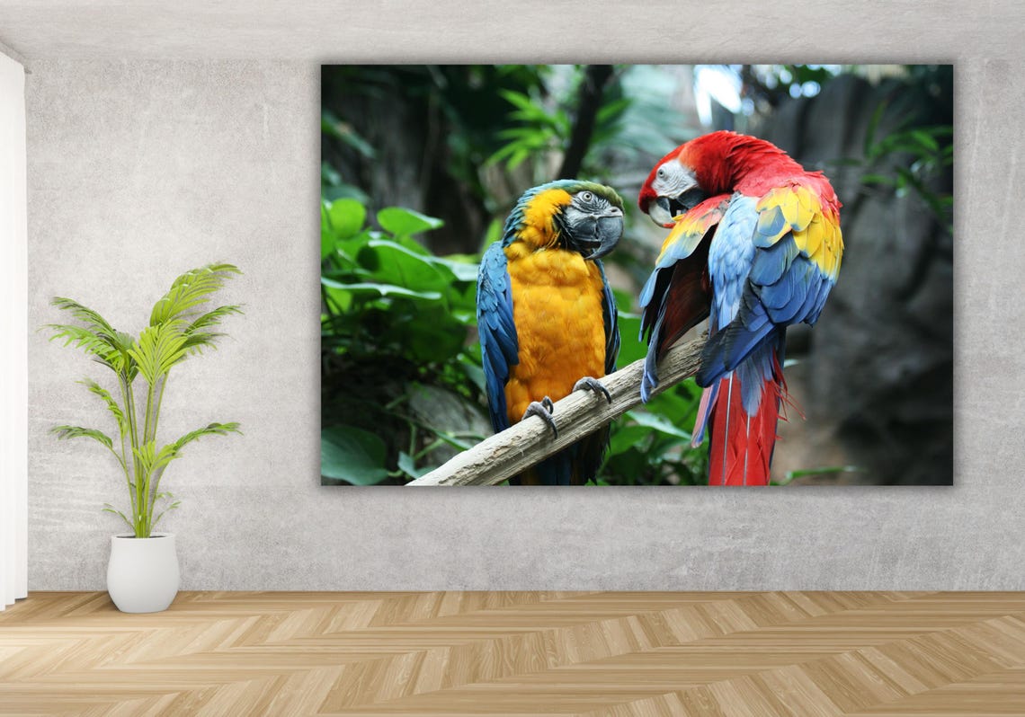 Blue and Yellow Macaw Parrot Pair Tropical Birds Wildlife Poster - Image 3