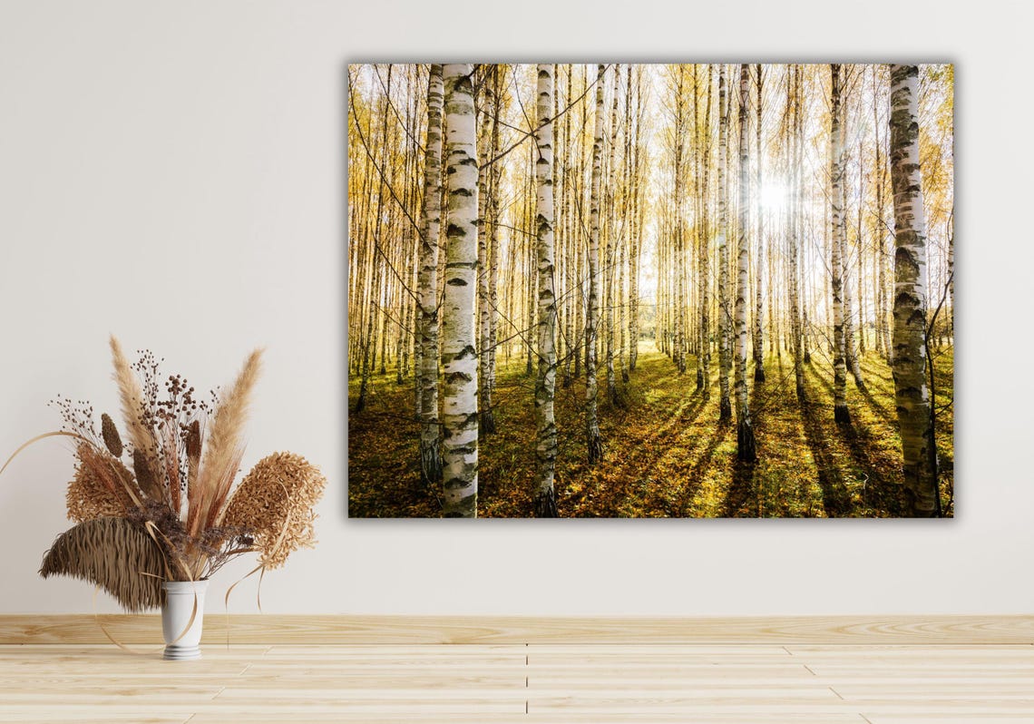 Birch Forest Sunlight Golden Autumn Nature Landscape Art Poster - Image 2