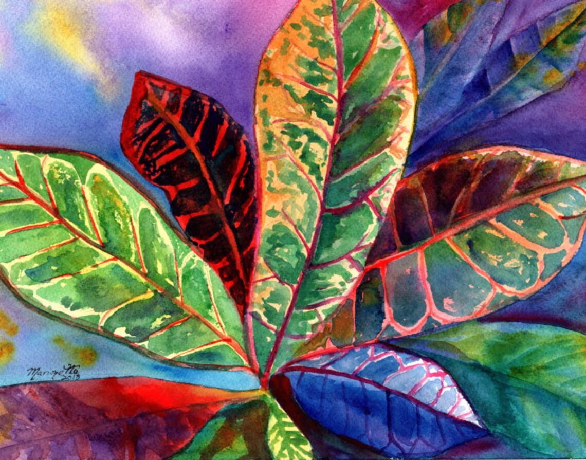 Croton Leaves Red Orange Green Watercolor Tropical Foliage Art Print