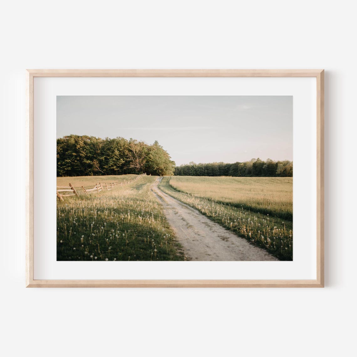 Dirt Road Through a Golden Summer Meadow With Split Rail Fence Poster