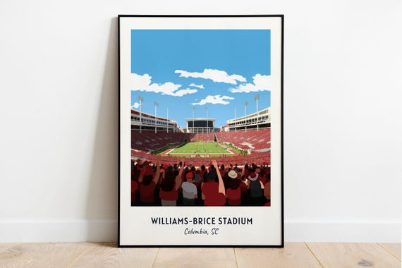 Williams Brice Stadium College Football Art Print