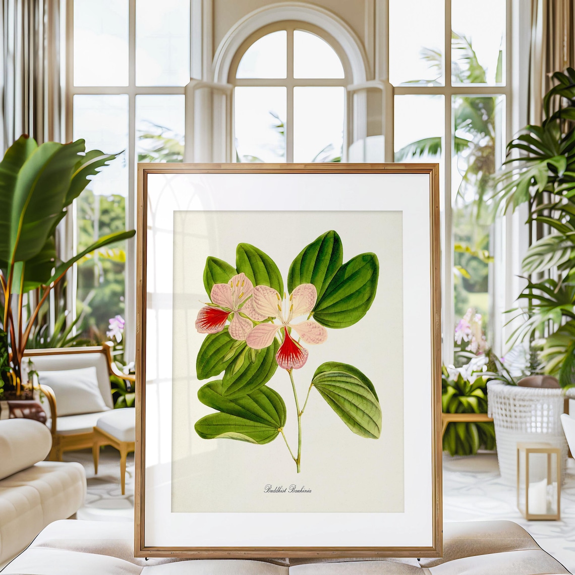 Buddhist Bauhinia Flower Botanical Art Poster - Image 3
