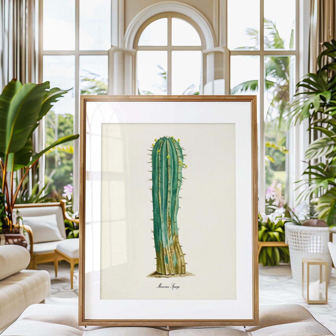 Moroccan Spurge Botanical Wall Art Print, Cactus - Image 3