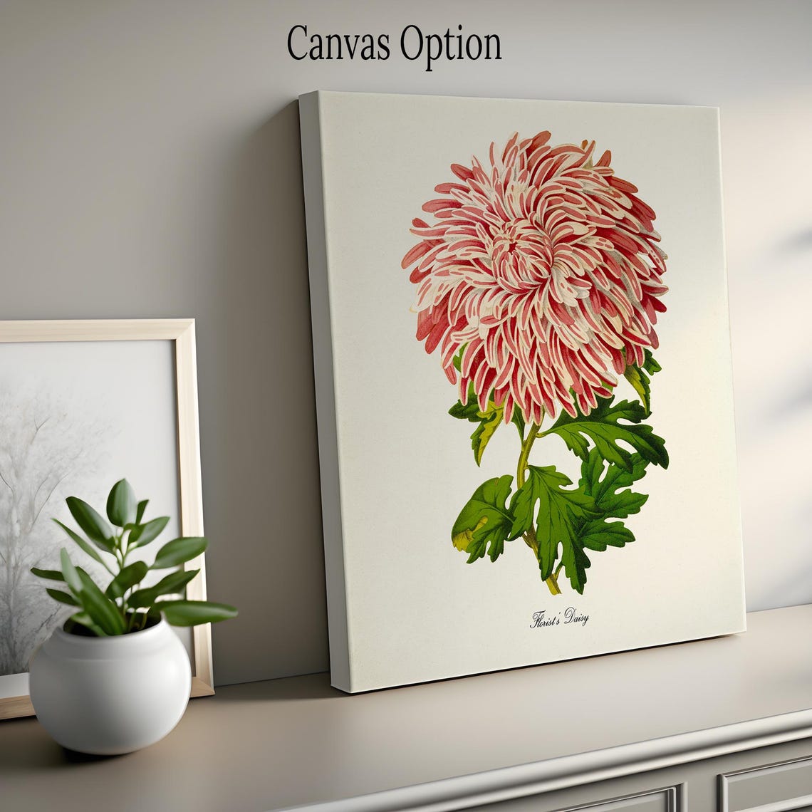 Pink Florists Daisy Chrysanthemum Bloom Vintage Botanical Poster - Image 2