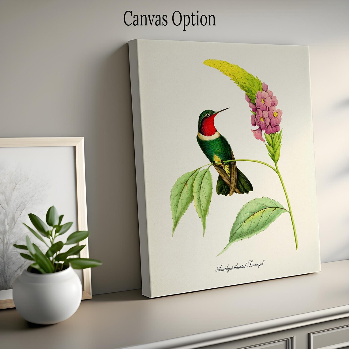 Amethyst Throated Sunangel Hummingbird Art Print - Image 2