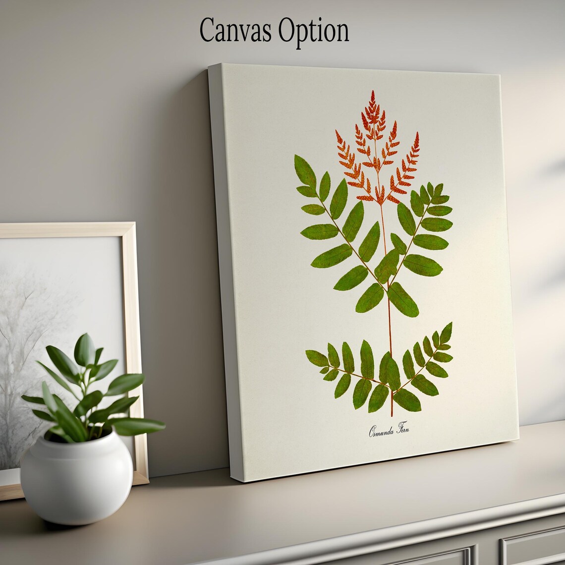 Osmunda Fern Botanical Art Print, Green Home Decor - Image 2