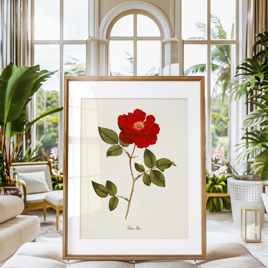 China Rose Botanical Art Print, Floral Wall Decor - Image 3