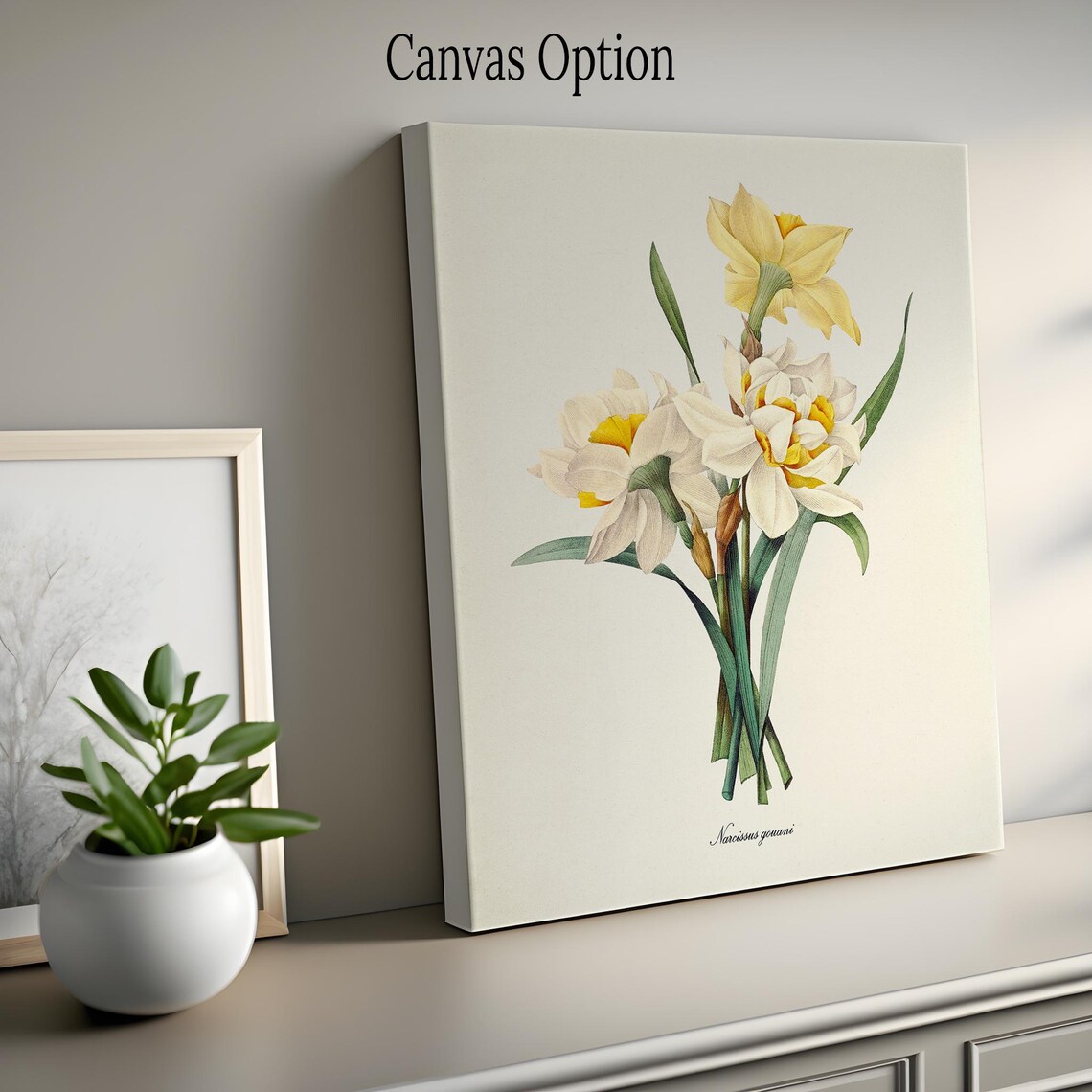 Double Daffodil Botanical Art Print, Redouté Narcissus - Image 2