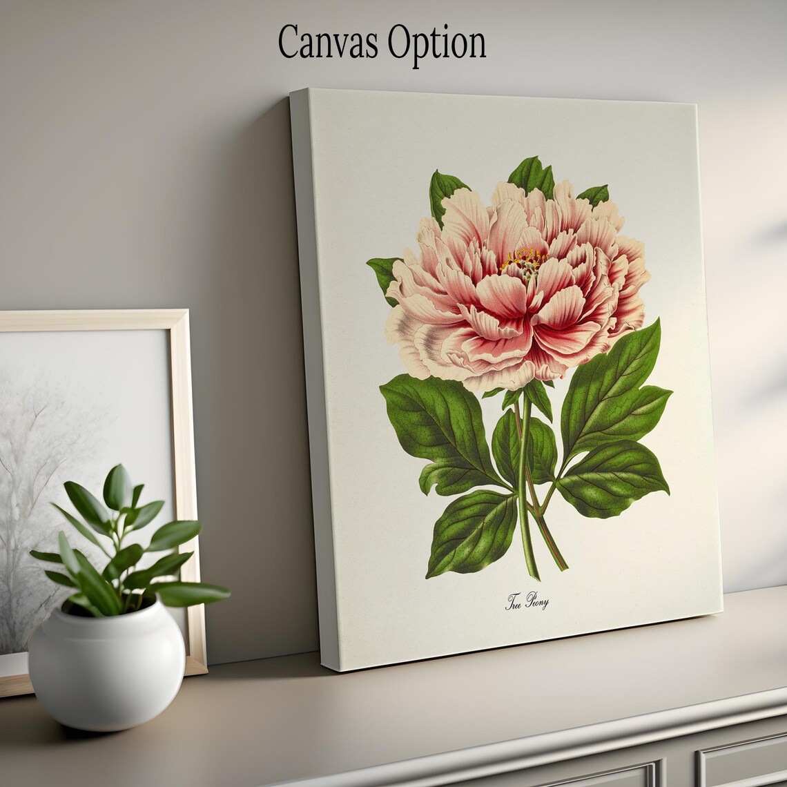 Pink Tree Peony Flower Botanical Wall Art Print - Image 2