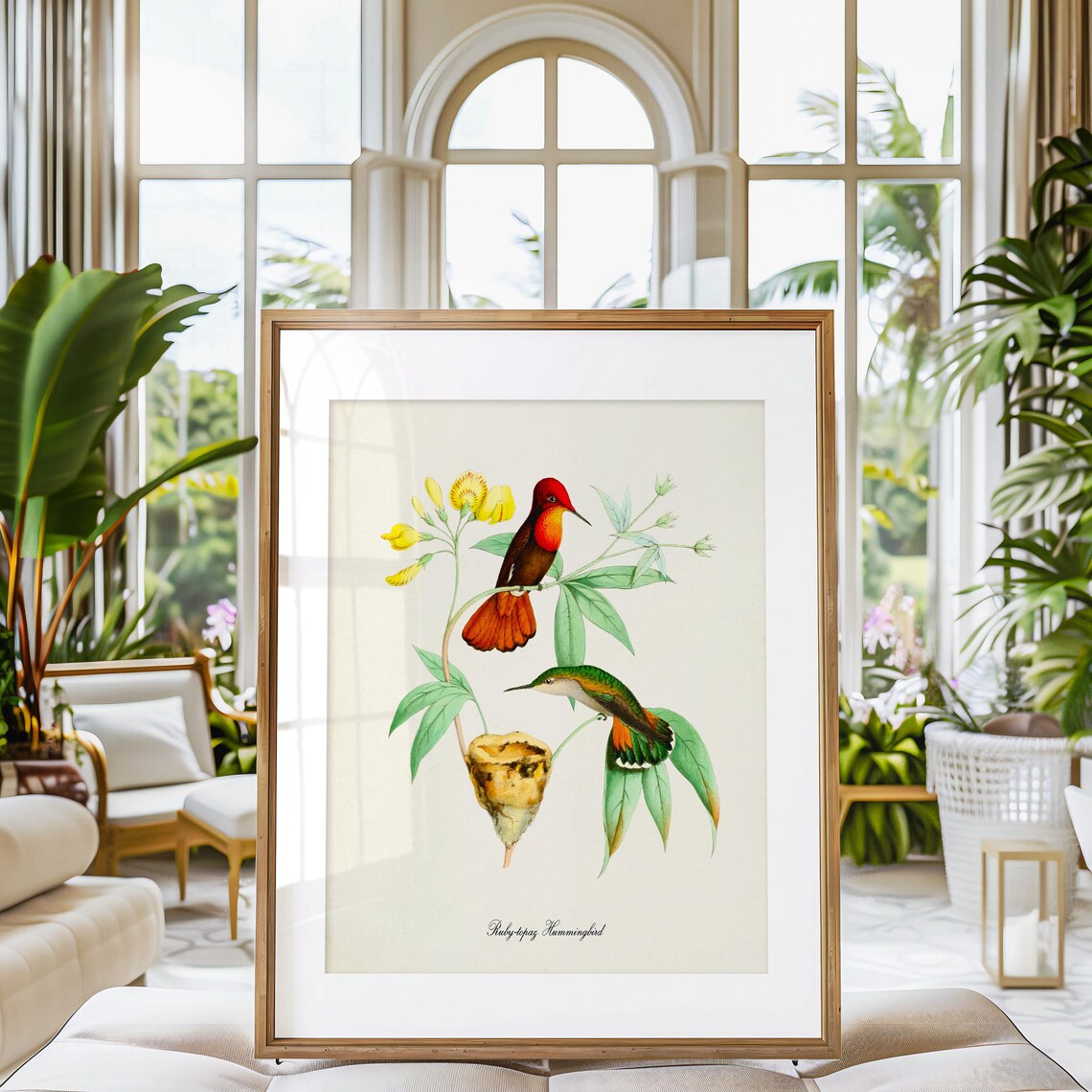 Ruby Topaz Hummingbird Art Print, Bird Poster - Image 3
