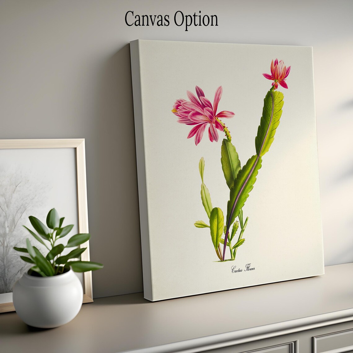 Pink Cactus Botanical Art Print, Home Wall Decor - Image 2