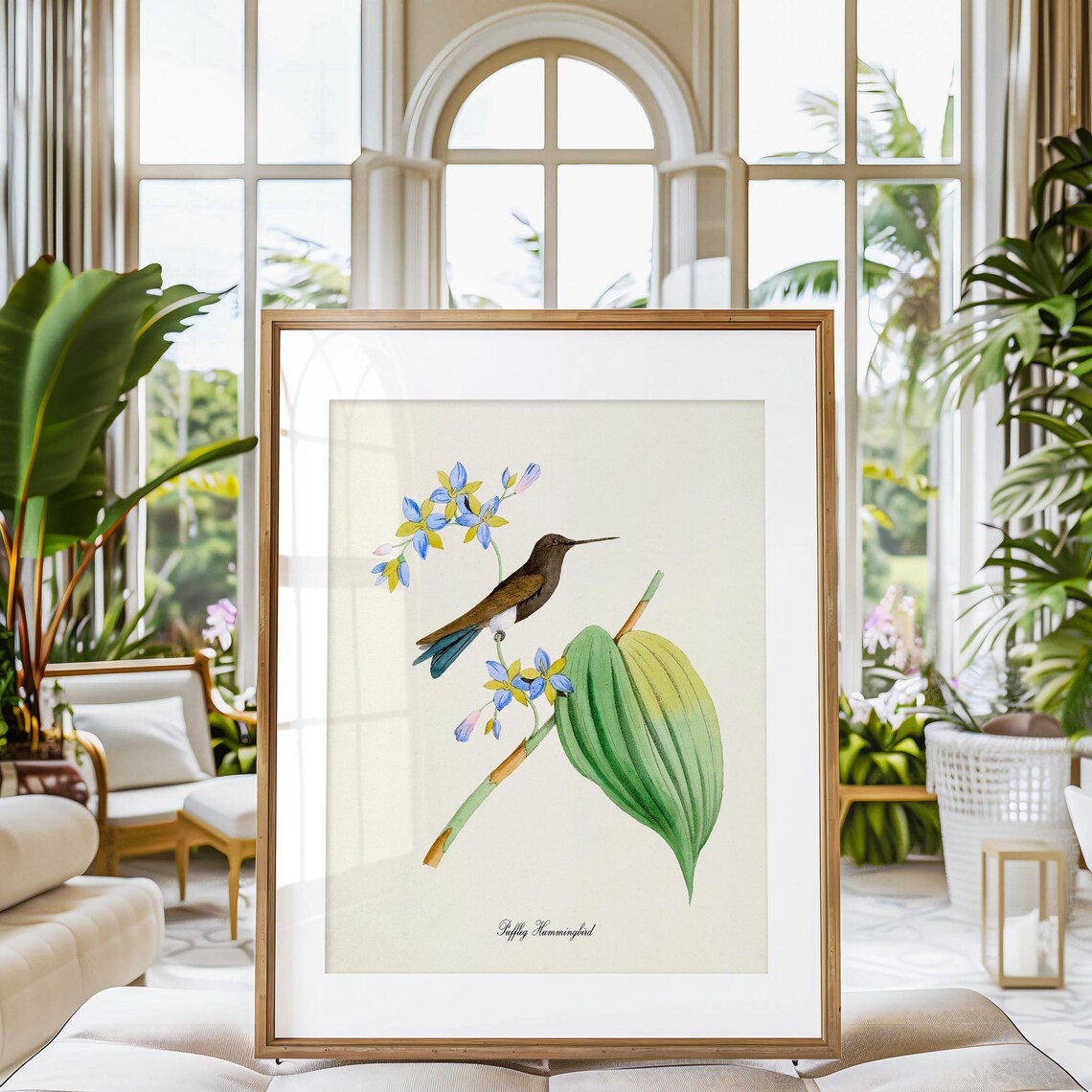 Puffleg Hummingbird Blue Yellow Blossoms Vintage Nature Poster - Image 3