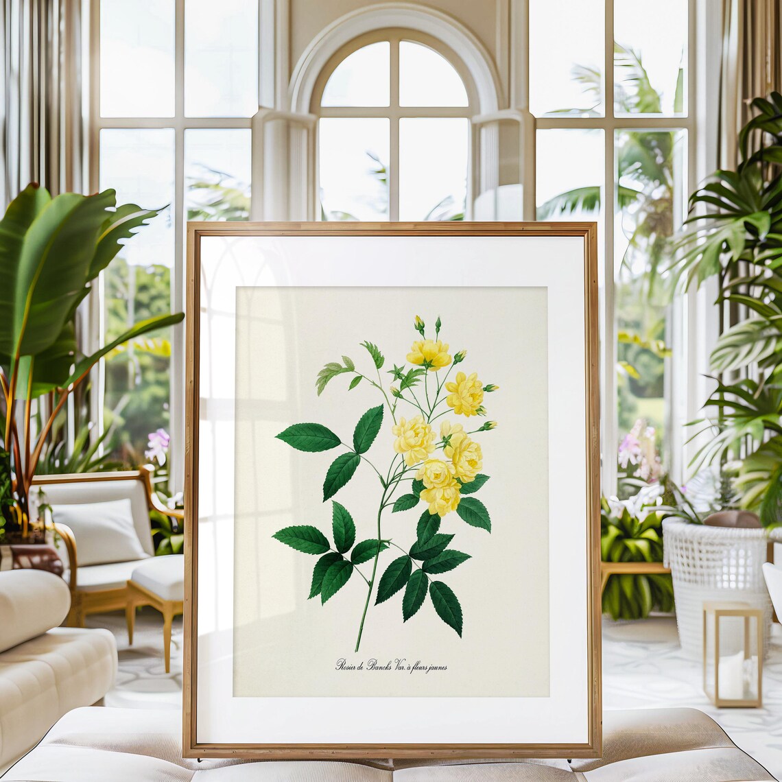 Yellow Rose Botanical Art Print, Floral Study - Image 3