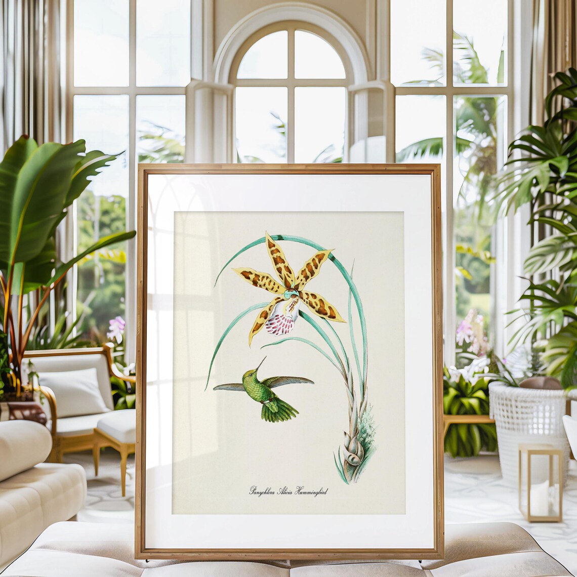 Panychlora Alicia Hummingbird, Floral Art Print - Image 3