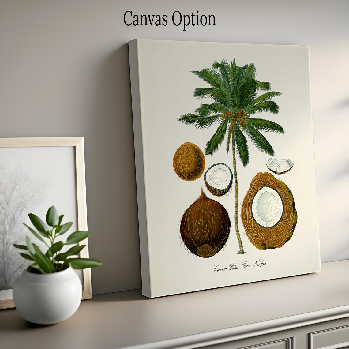 Coconut Palm Botanical Art Print, Tropical Plant - Image 2