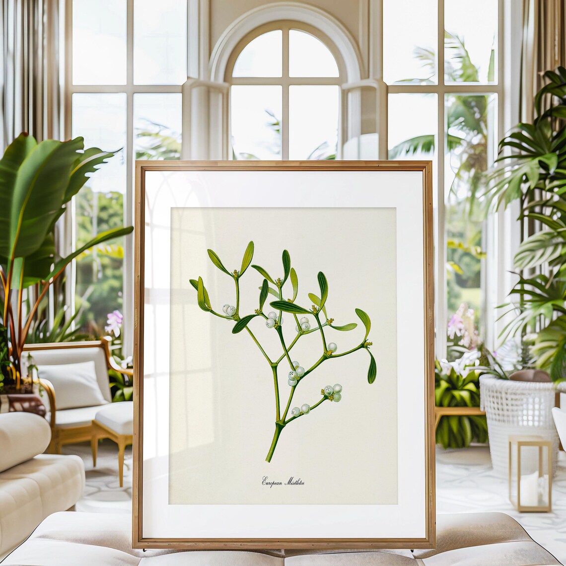 European Mistletoe Botanical Art Print, Wall Art - Image 3