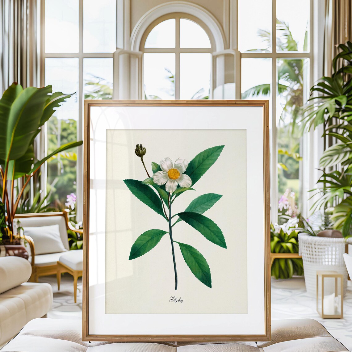 Holly Bay Flower Vintage Botanical Illustration Classic Wall Poster - Image 3