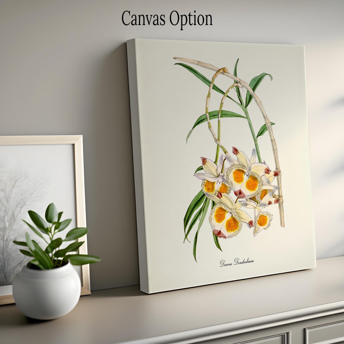 Devons Dendrobium Orchid Botanical Floral Art Print - Image 2