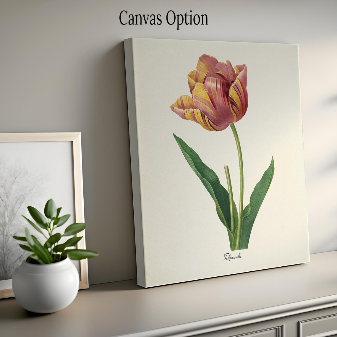 Tulip Flower, Redouté Botanical Art Print, Red and Yellow - Image 2