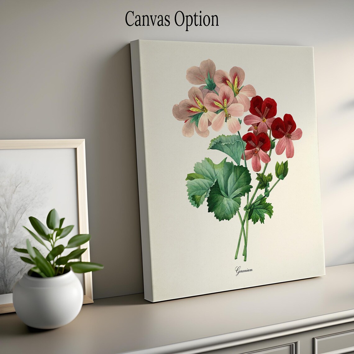 Geranium Flower Botanical Art Print, Redoute Style - Image 2