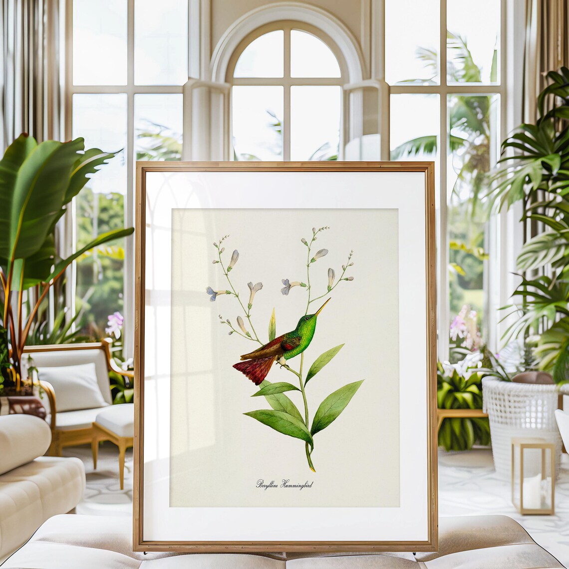 Berylline Hummingbird Art Print, Floral Garden - Image 3