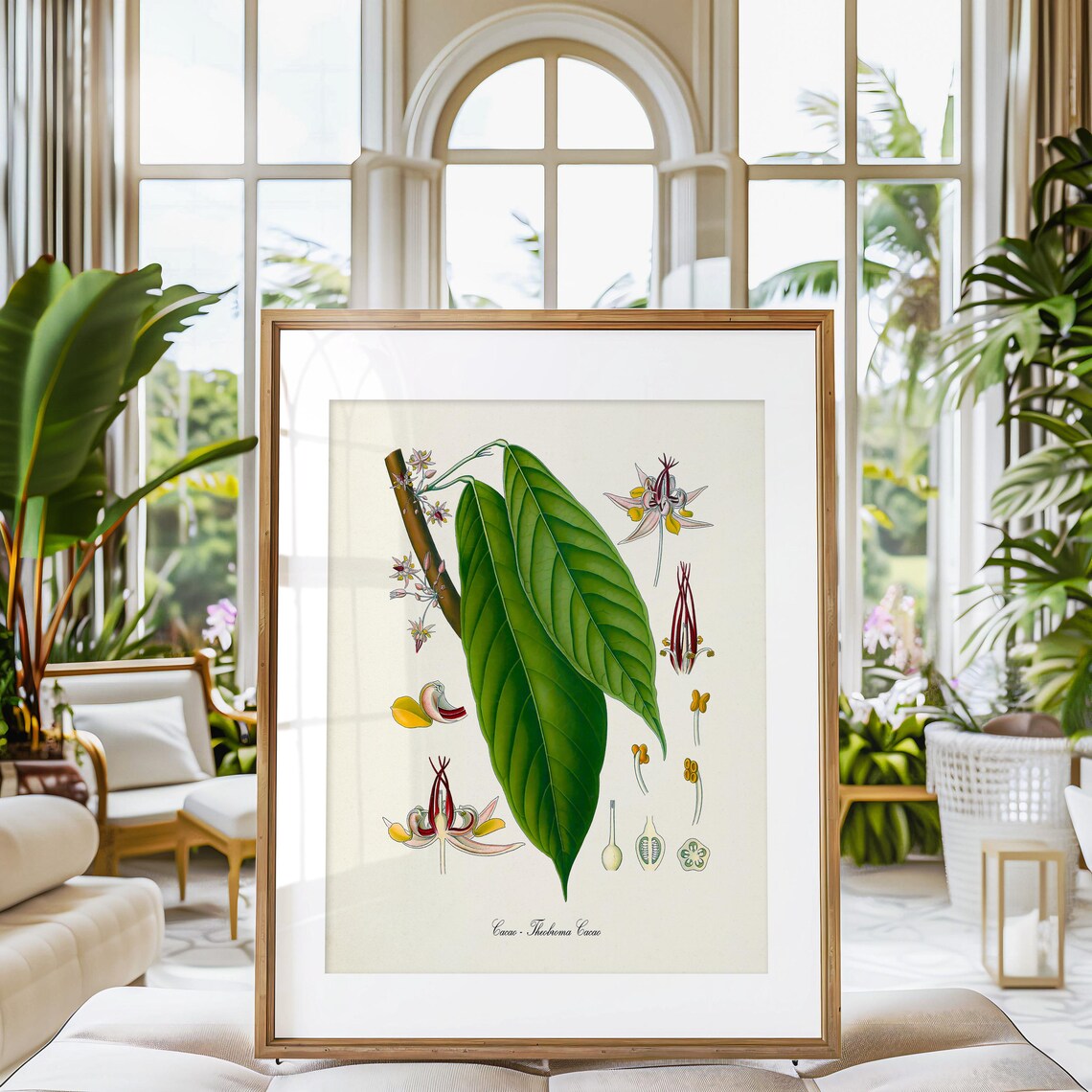 Cacao Botanical Art Print, Cocoa Tree Wall Decor - Image 3