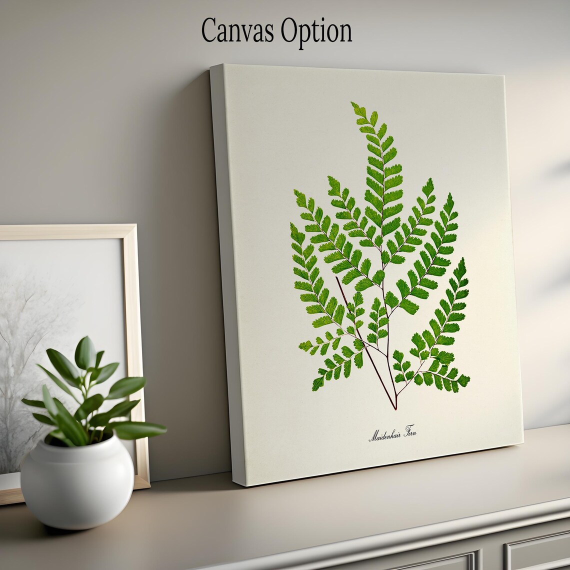 Maidenhair Fern Botanical Art Print, Home Decor - Image 2