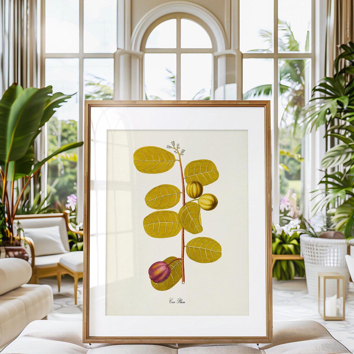 Coco Plum Botanical Art Print, Kitchen Garden - Image 3