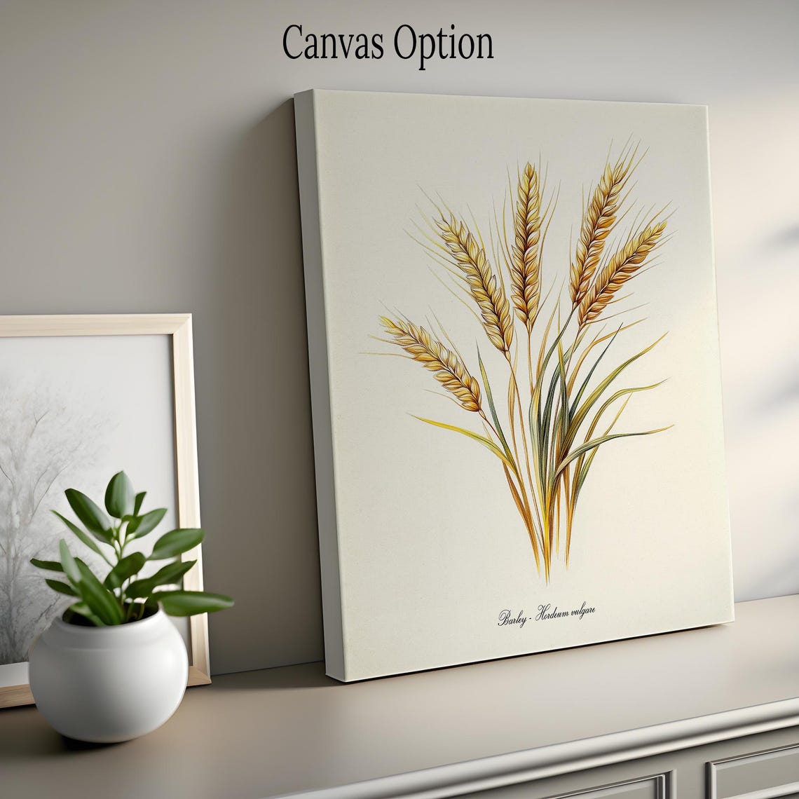 Golden Barley Hordeum Vulgare Wheat Ears Vintage Botanical Poster - Image 2