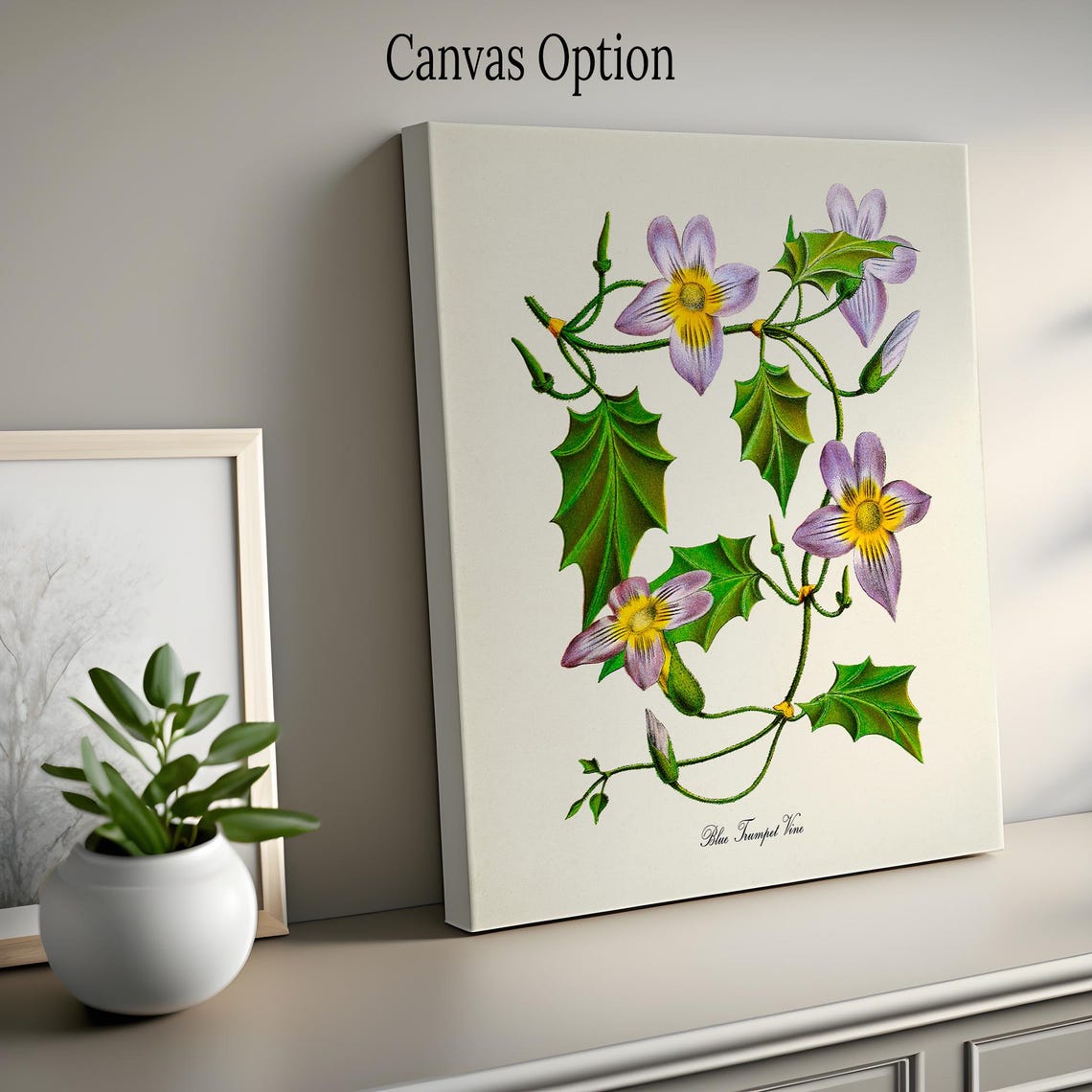 Blue Trumpet Vine Lavender Flowers Vintage Botanical Study Poster - Image 2