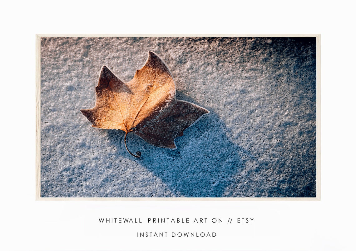 Frost Covered Golden Leaf Resting On Sparkling Frost Photo Poster - Image 2