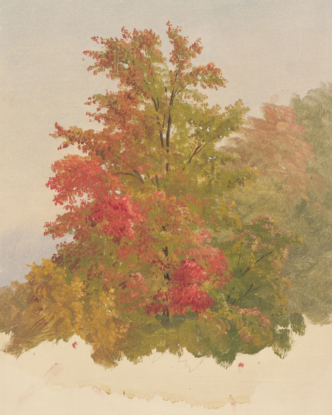 Autumn Tree Art Print, Cozy Rustic Seasonal Foliage - Image 3