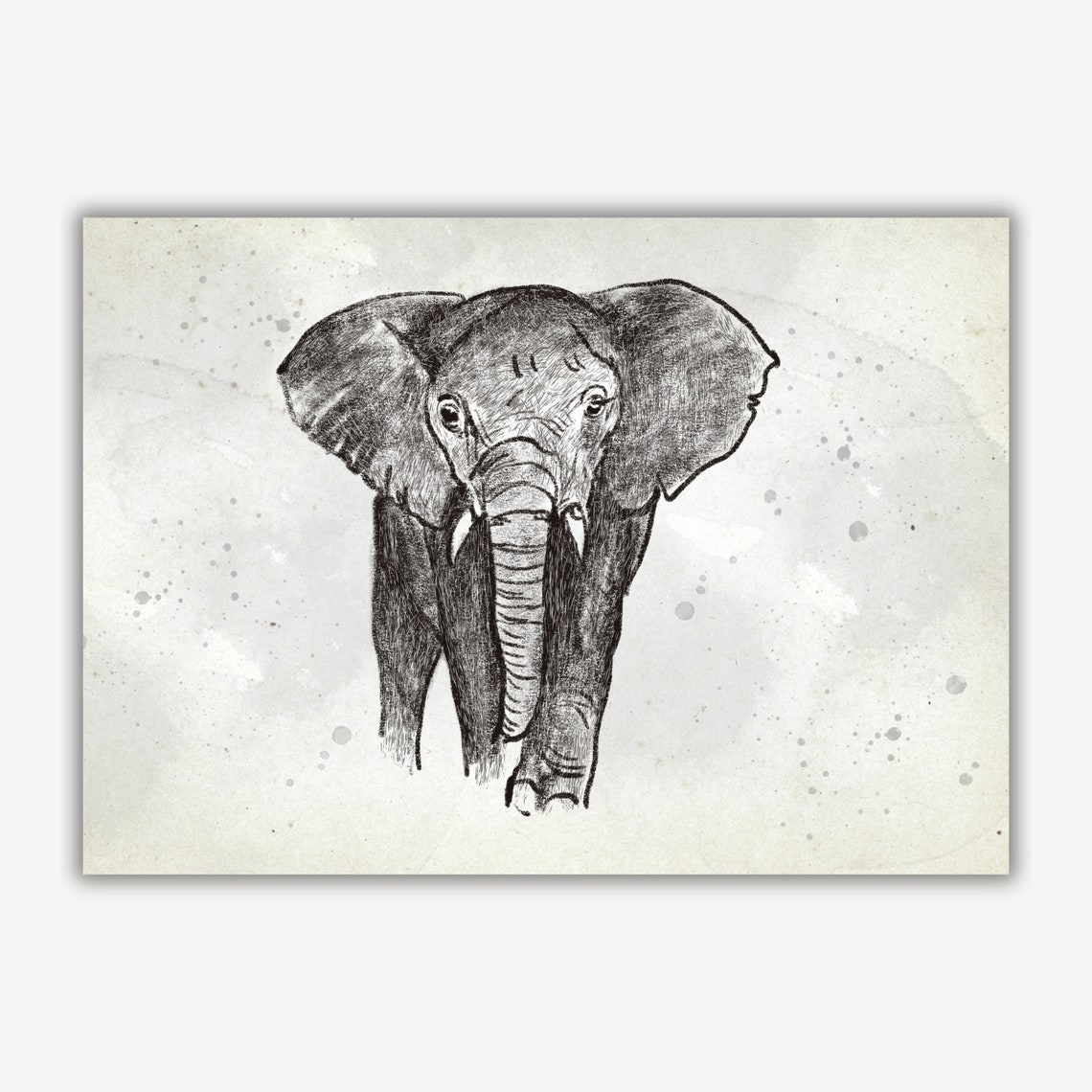 Baby Elephant Front Facing Sketch Safari Nursery Animal Poster - Image 2