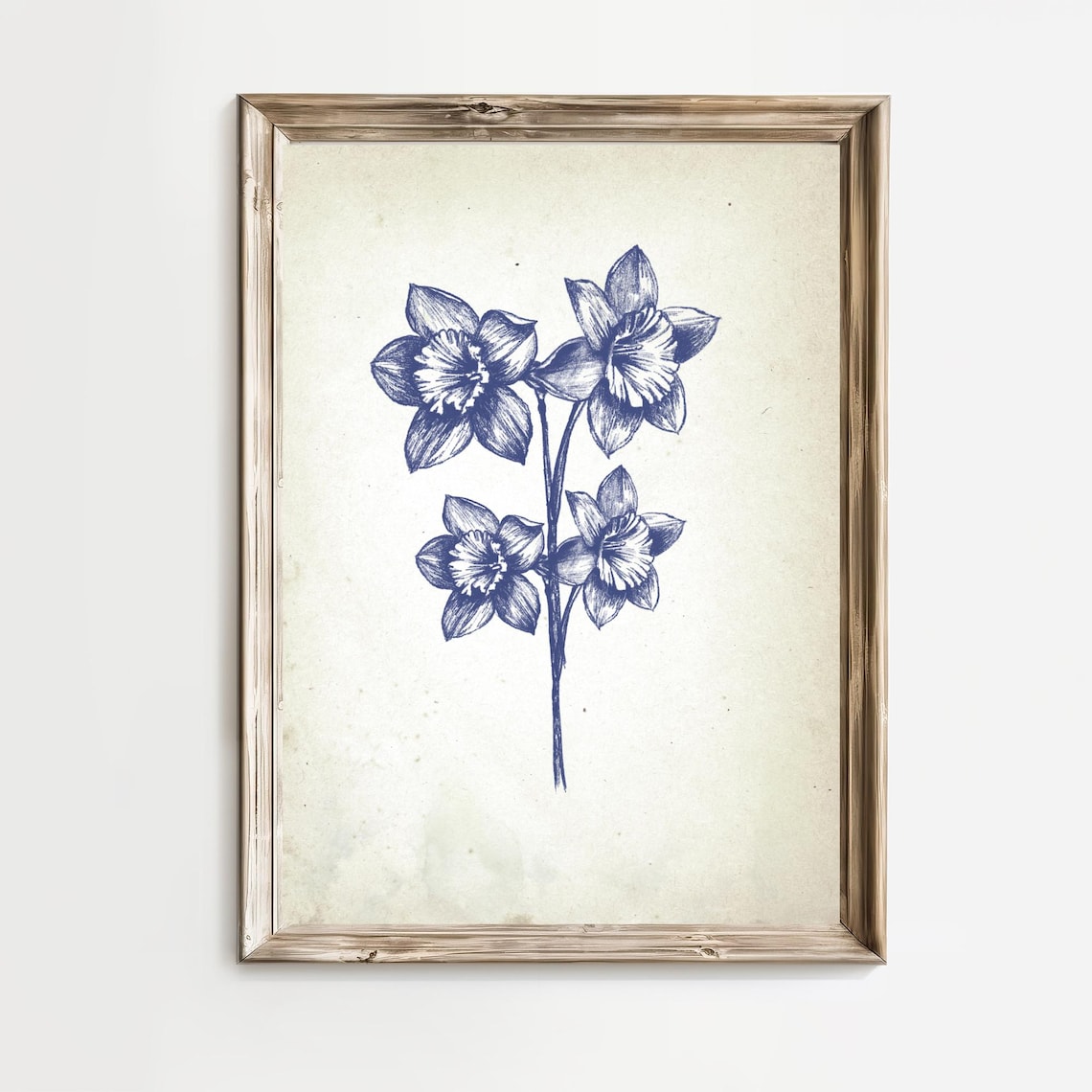 Cluster of Four Daffodils in Vintage Blue Botanical Art Poster