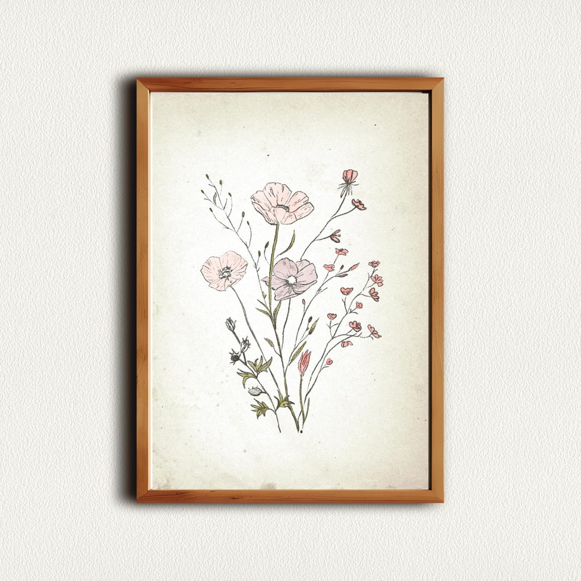 Pink Poppies with Tiny Buds in Vintage Botanical Sketch Art Print - Image 3