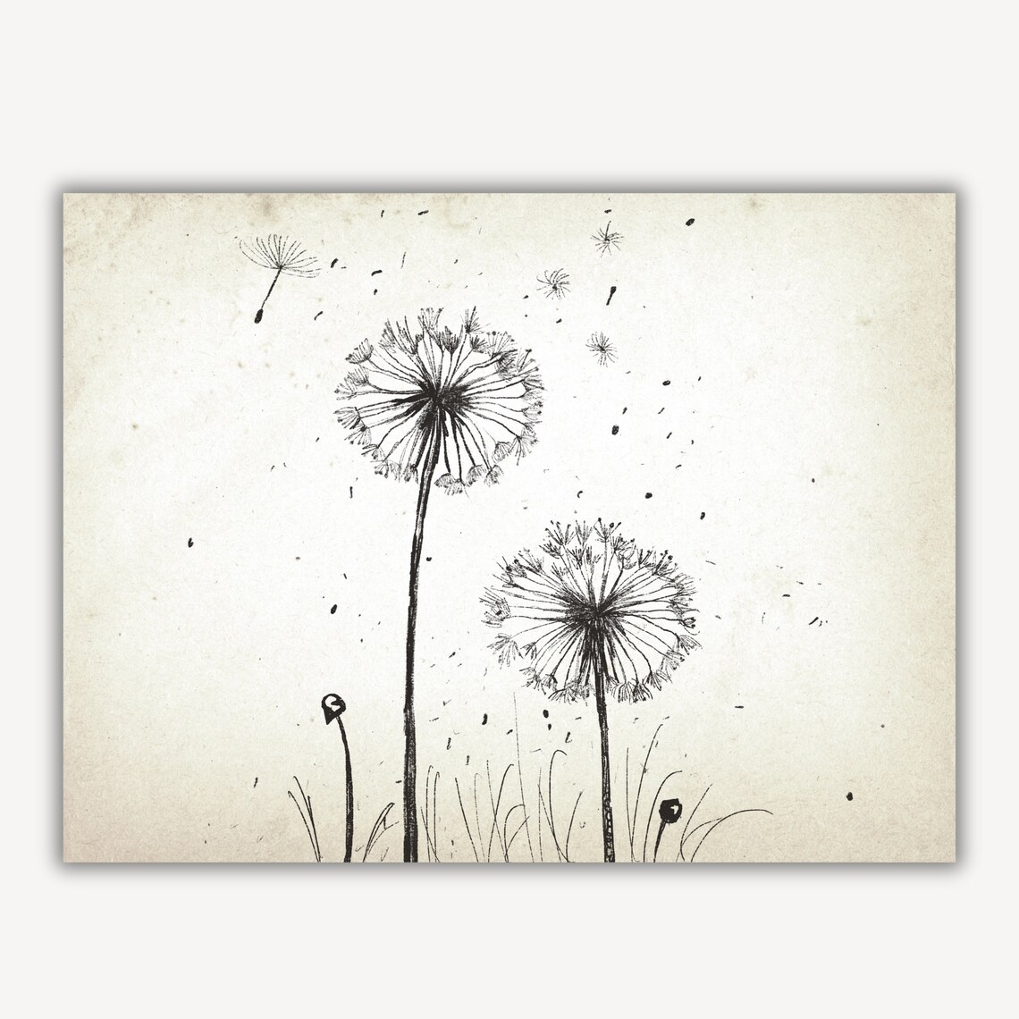Dandelion Seed Heads Blowing in the Wind Vintage Ink Art Poster - Image 2