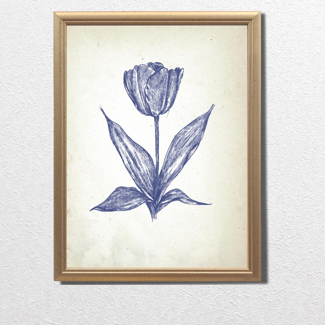 Blue Tulip Blossom in Vintage Botanical Ink Sketch Art Poster