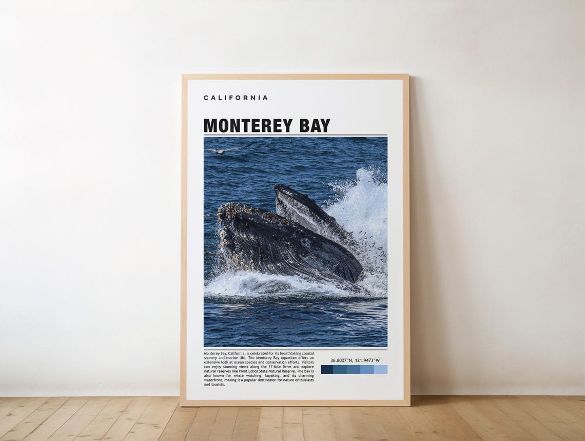Monterey Bay California Humpback Whale Breaching Travel Photo Poster