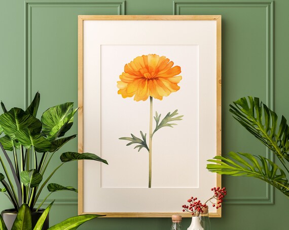 Golden Orange Marigold Watercolor Flower Minimalist Art Poster