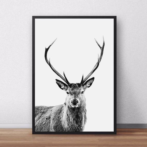 Sale Deer Print Forest Animal Wall Art Nursery Baby Woodland Print Deer Poster Nursery Decor Deer Woodland Nursery