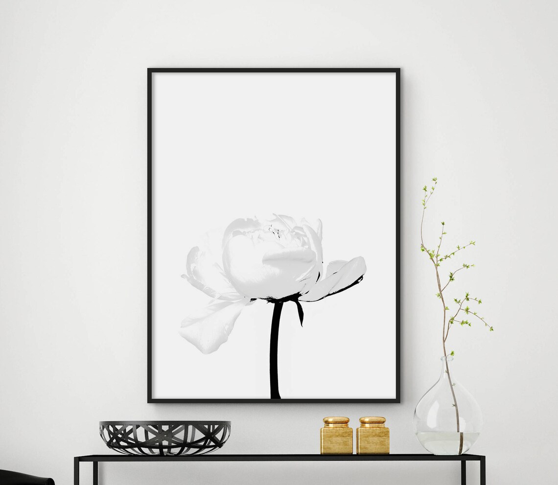 White Peony Minimalist Black and White Flower Botanical Art Poster