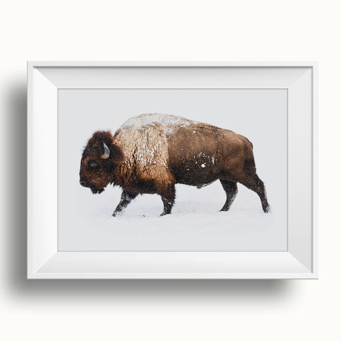 Bison Buffalo Walking In Snow Winter Wildlife Photography Poster - Image 3