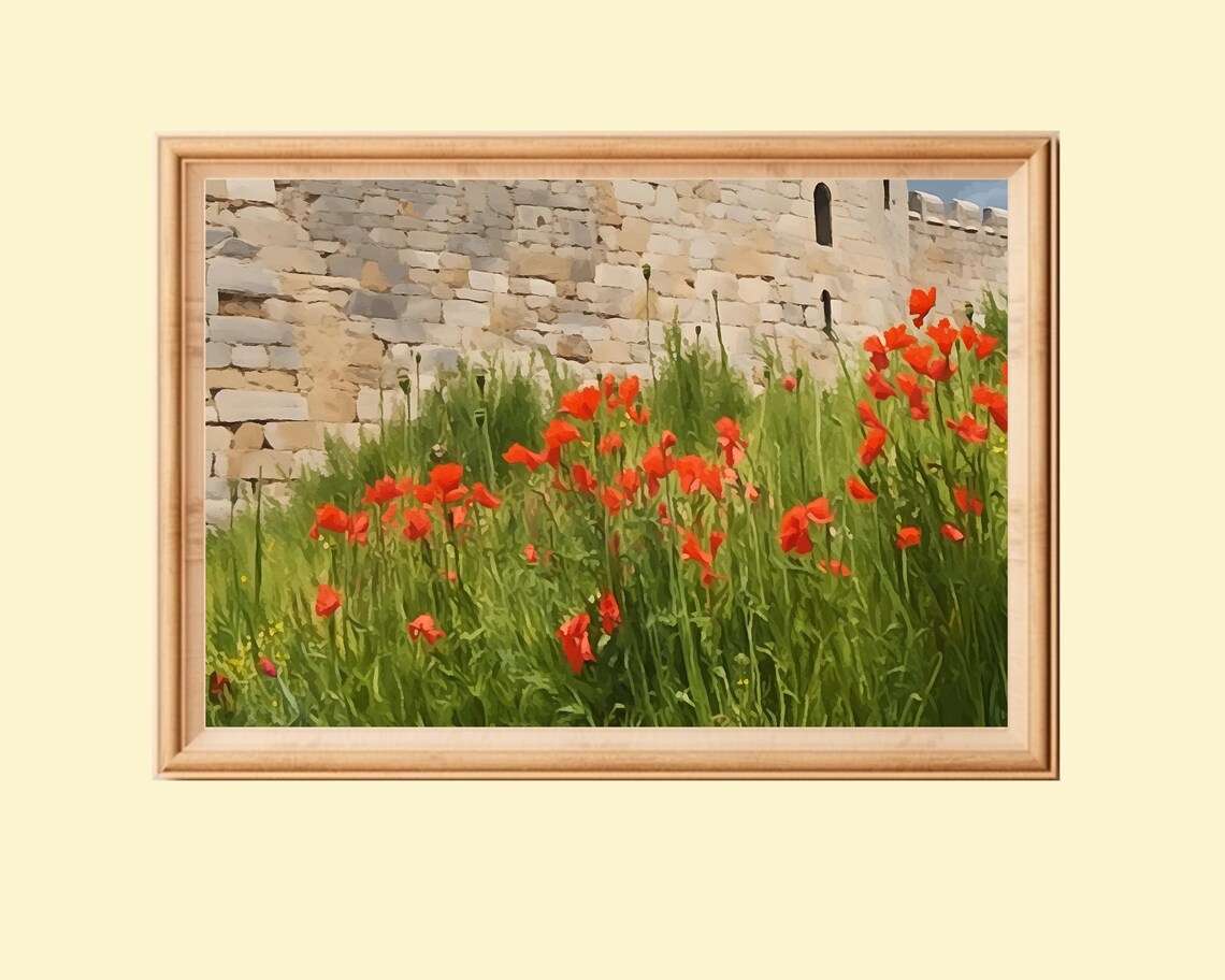 Red Poppies Before Medieval Castle Wall Artwork