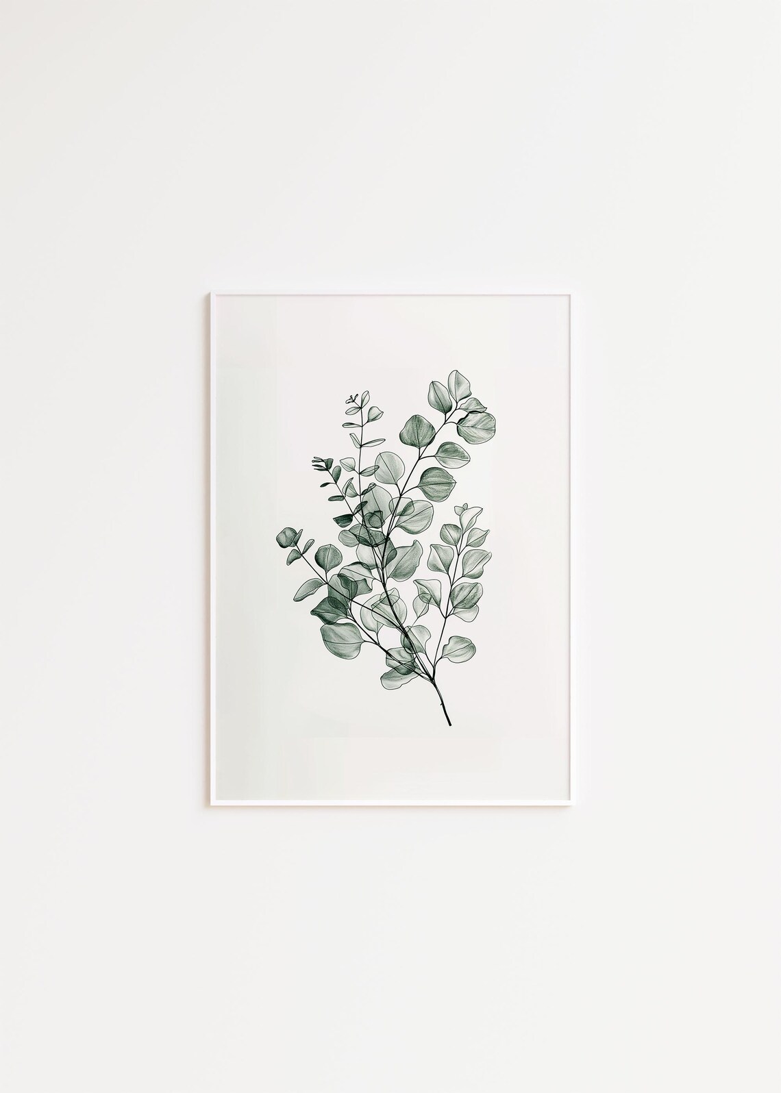 Gray Green Eucalyptus Sprig Calm Botanical Line Art Wall Art